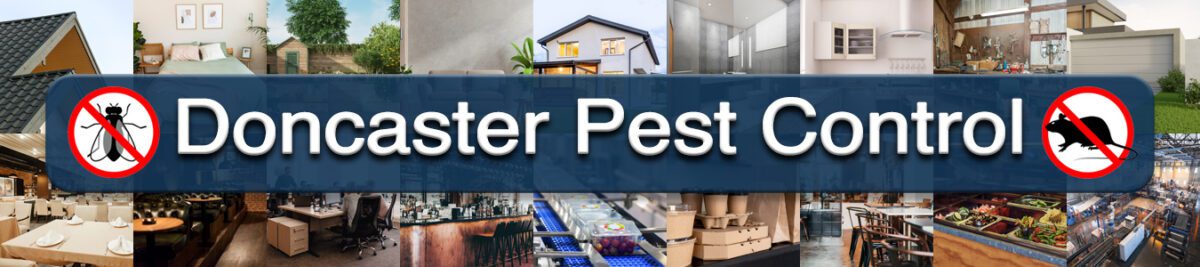 Doncaster Pest Control - commercial and domestic pests